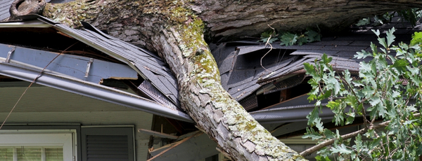 storm-damaged fascia repaired and stabilized