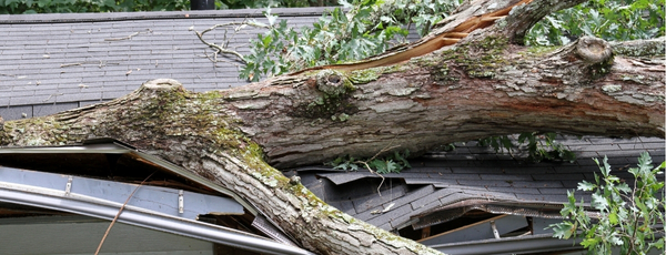 Storm damage restoration for roof and siding near me